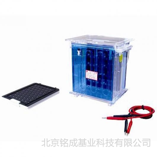 北京六一-转移电泳槽DYCZ-40A